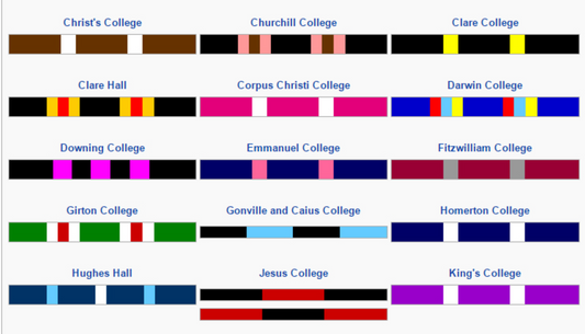 University College Scarf
